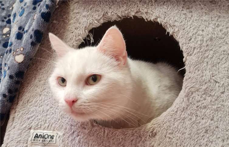 Das ist Elly.  Foto: Claus Crah