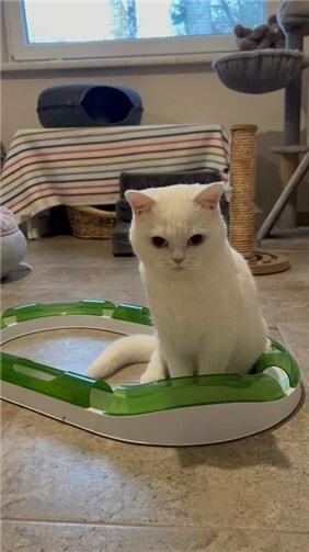 Das ist Elsa.  Foto:privat