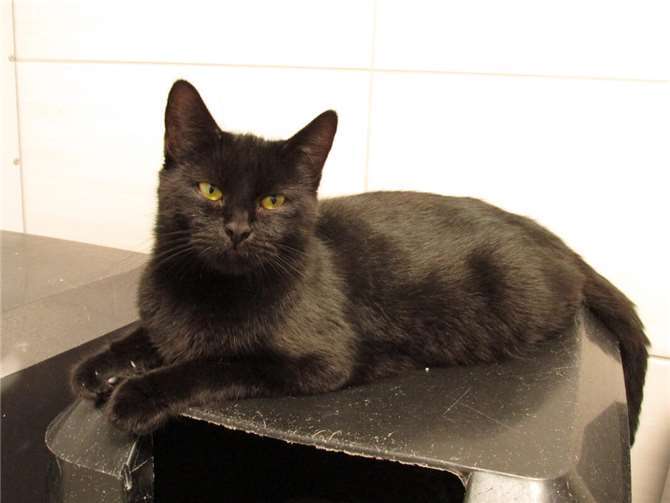 Das ist Evelina.  Foto: privat