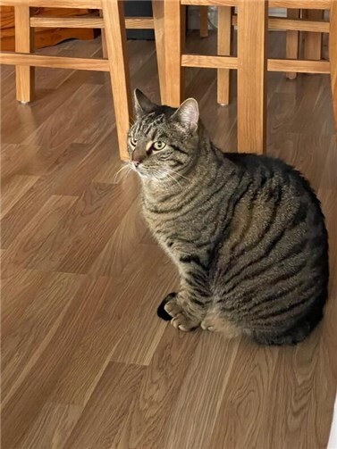 Das ist Felix.  Foto: privat