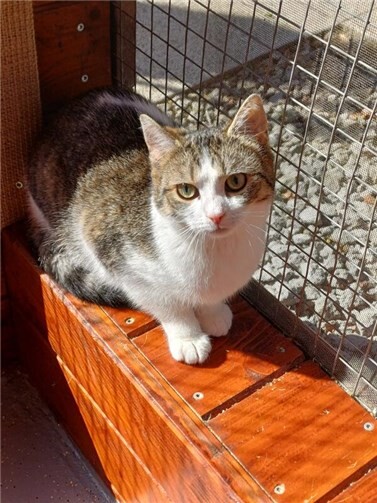 Das ist Fienchen.  Foto: privat