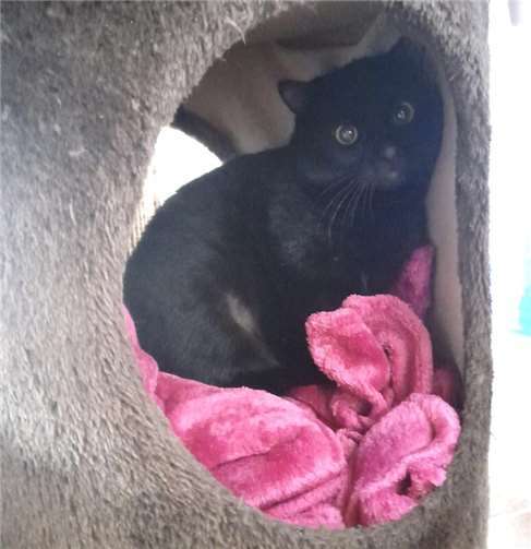 Das ist Gabriel.  Foto: Claus Krah