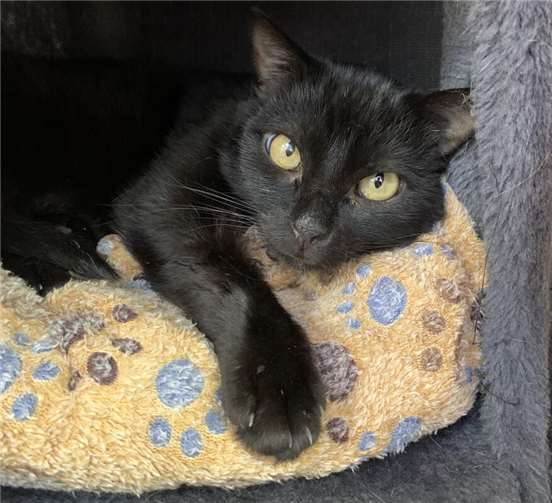 Das ist Gabriel.  Foto: Claus Krah