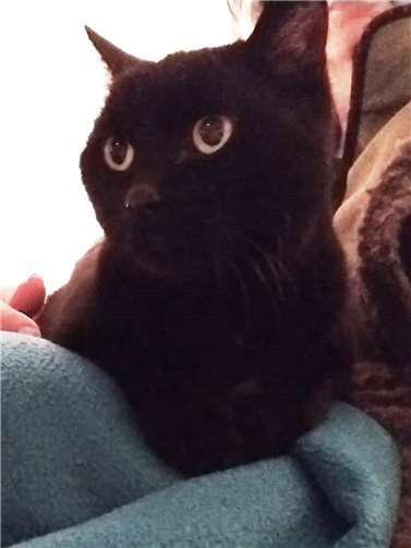 Das ist Ginger.  Foto: privat