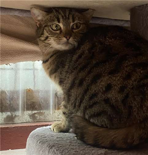 Das ist Giselle.  Foto: Claus Krah