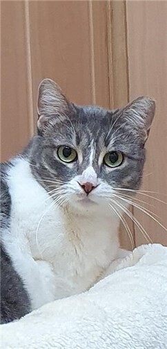 Das ist Grey.  Foto:privat