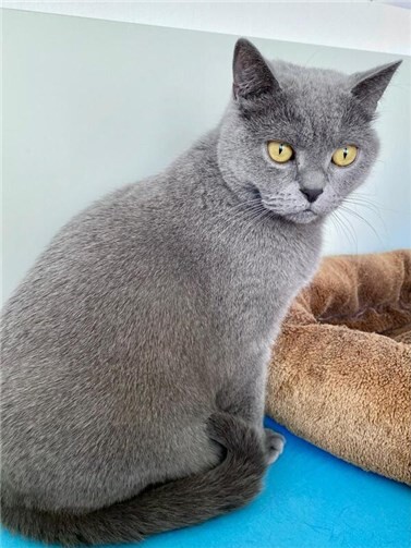 Das ist Hans.  Foto:privat