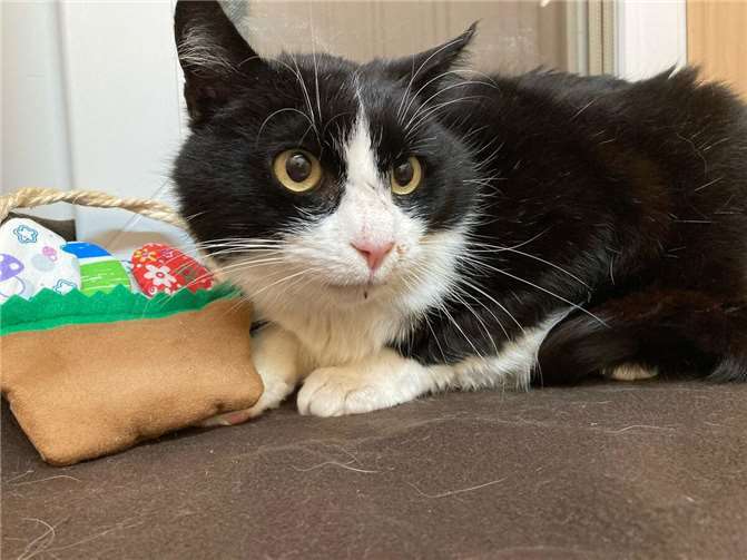 Das ist Heribert.  Foto: privat