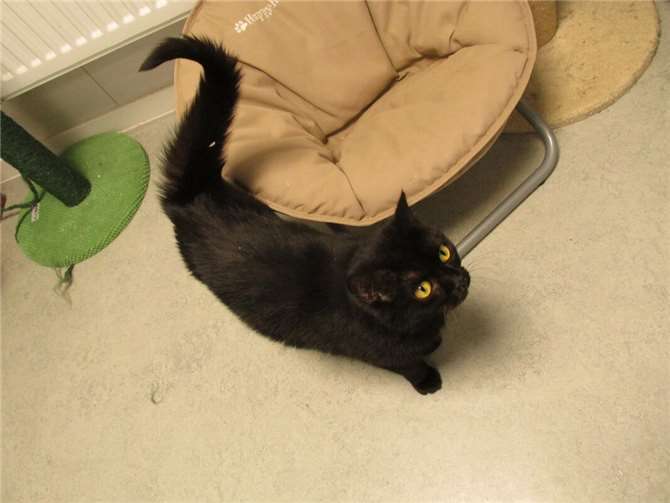 Das ist Imani.  Foto: privat