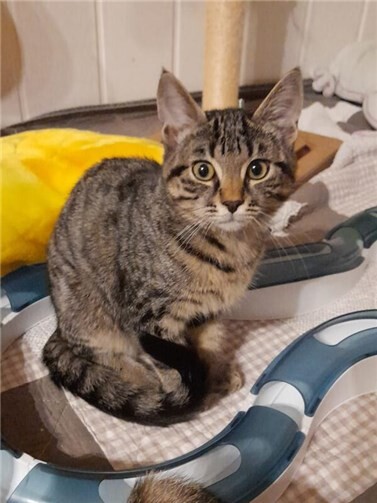 Das ist Janosch.  Foto: privat