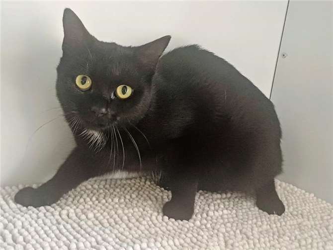 Das ist Jonny.v  Foto: privat