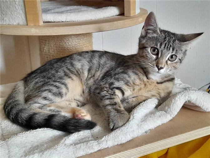 Das ist Kiki. Foto: privat