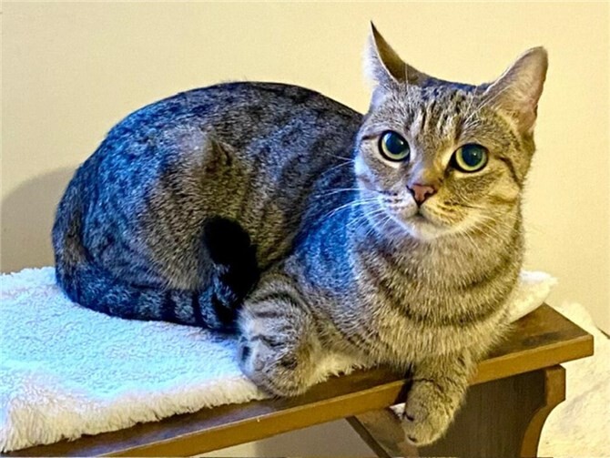 Das ist Kira.  Foto: privat