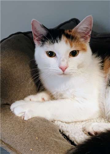 Das ist Kitty.  Foto: privat