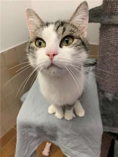 Das ist Leila.  Foto: Claus Krah