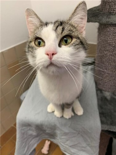 Das ist Leila.  Foto: Claus Krah