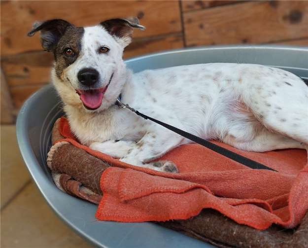 Das ist Luis.  Foto: Claus Krah