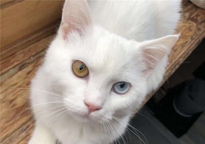Das ist Mali. Foto: privat