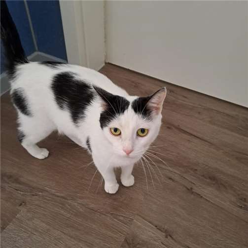 Das ist Marla.  Foto: privat