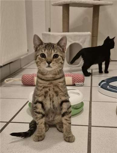 Das ist Matz.  Foto: privat