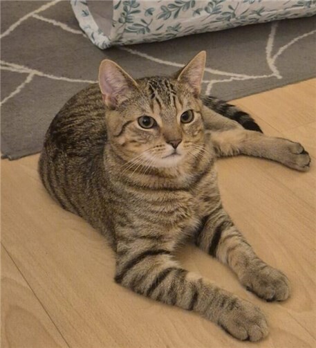 Das ist Matz.  Foto: privat