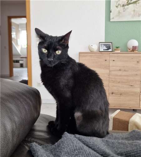 Das ist Mautzi.  Foto: privat