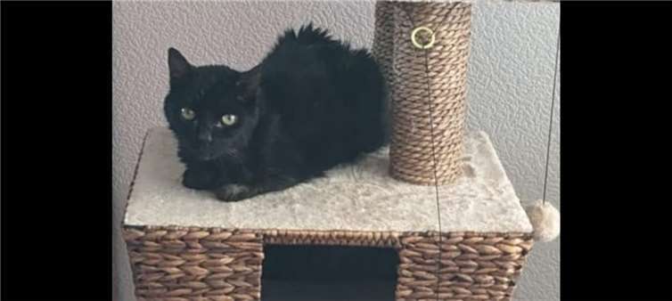 Das ist Maxi.  Foto: privat