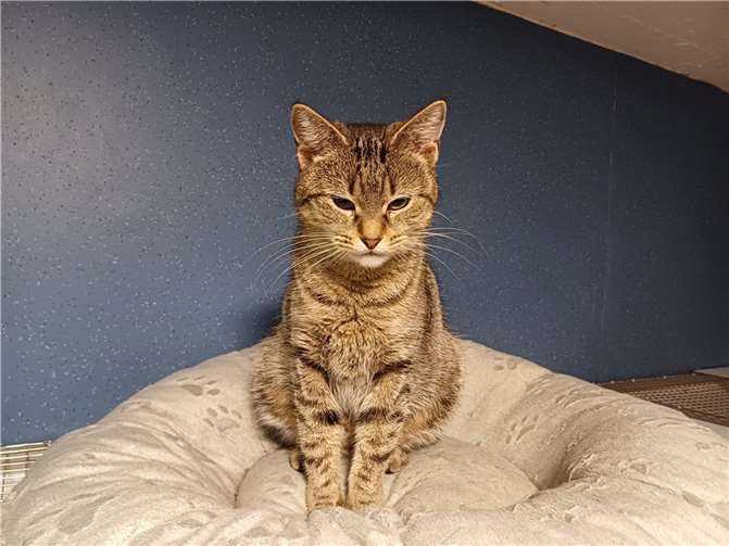 Das ist Mila.  Foto: privat