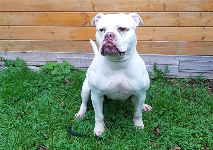 Das ist Molly.  Foto: Claus Krah