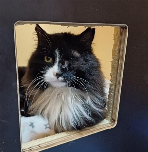 Das ist Momo.  Foto: privat