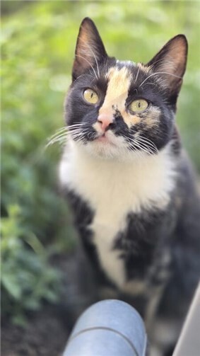 Das ist Momo. Foto: privat