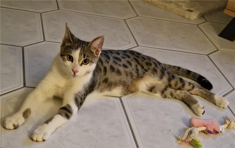 Das ist Monty.  Foto: privat