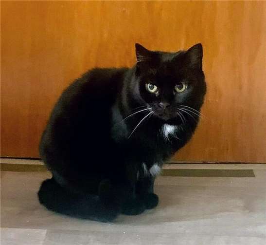 Das ist Moody.  Foto: privat