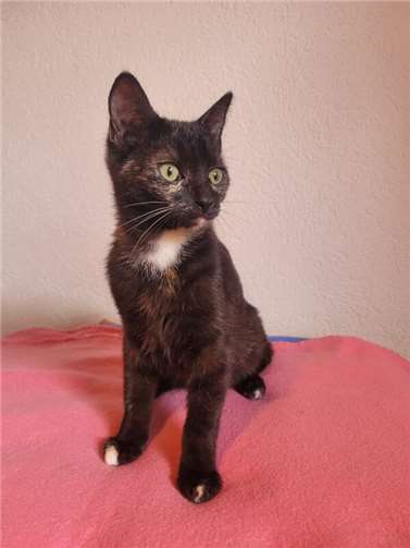 Das ist Nayla.  Foto: privat