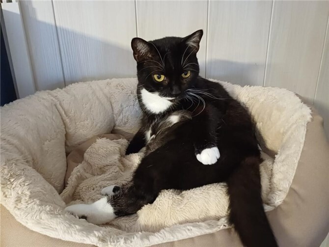 Das ist Nelly.  Foto: privat
