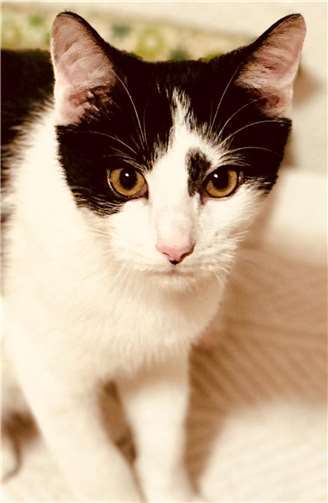 Das ist Nemo. Foto: privat