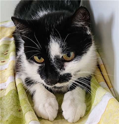 Das ist Nina.  Foto: privat