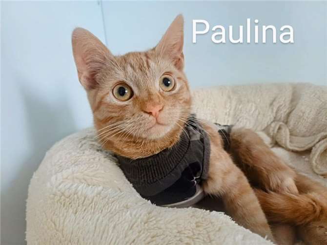 Das ist Paulina.  Foto: privat