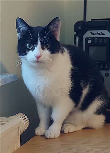 Das ist Paulinchen.  Foto: privat