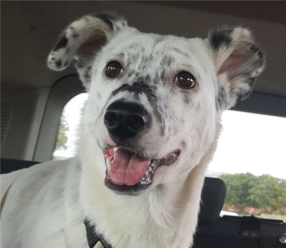 Das ist Pina. Foto: privat