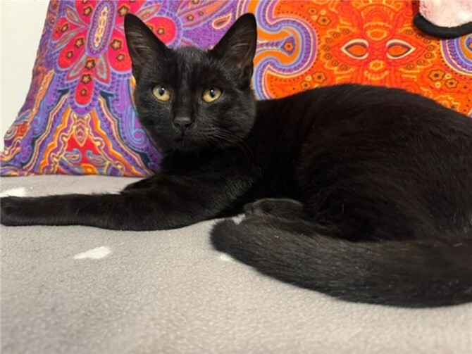 Das ist Robin.  Foto: privat