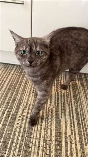 Das ist Ronja.  Foto: privat