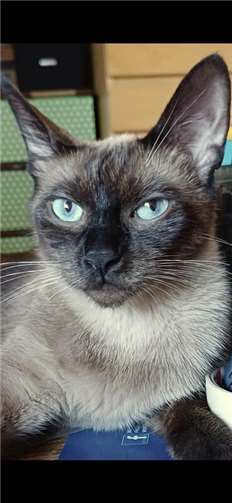 Das ist Rosi.  Foto: privat