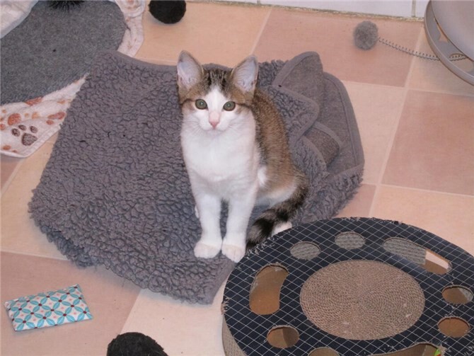 Das ist Sadie.  Foto: Privat