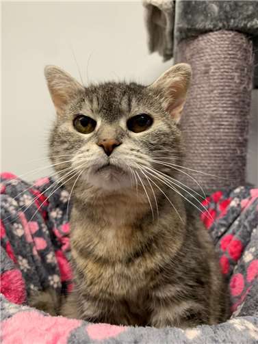 Das ist Sansa.  Foto: Claus Krah