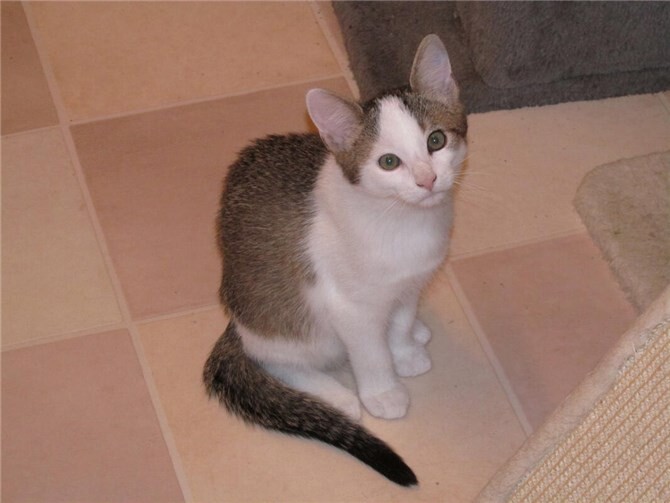 Das ist Shrek.  Foto: privat