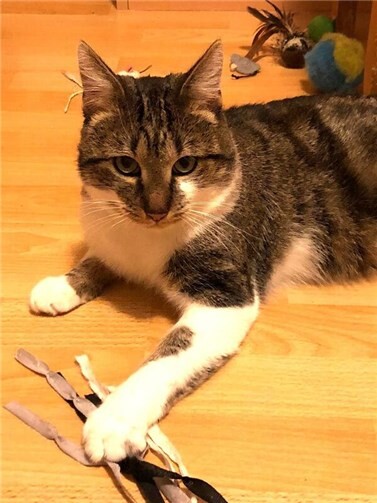 Das ist Sparky.  Foto: privat