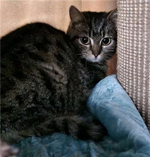 Das ist Streusel.  Foto: Claus Krah