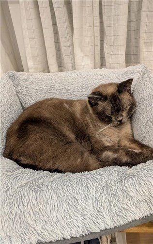 Das ist Sunshine.  Foto: privat