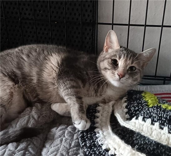 Das ist Susi.  Foto: privat